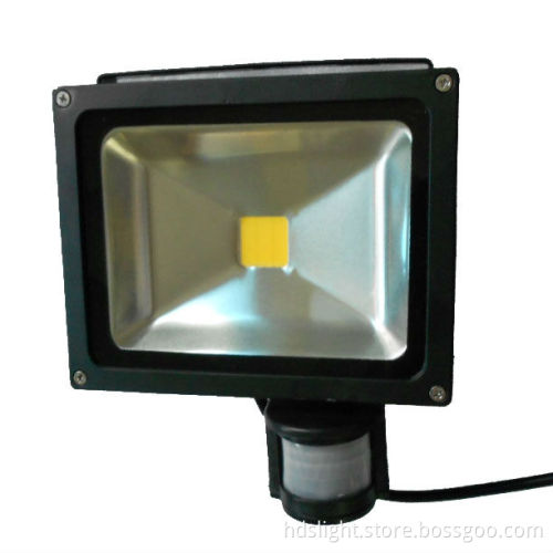 20W self ballast induction light